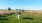 Strawberry Fields Dog Park